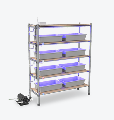 Insect breeding rackInsect breeding rack is specialized in breeding insect composed smart farming technology and equiments.