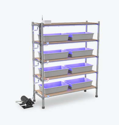 Insect breeding rackInsect breeding rack is specialized in breeding insect composed smart farming technology and equiments.